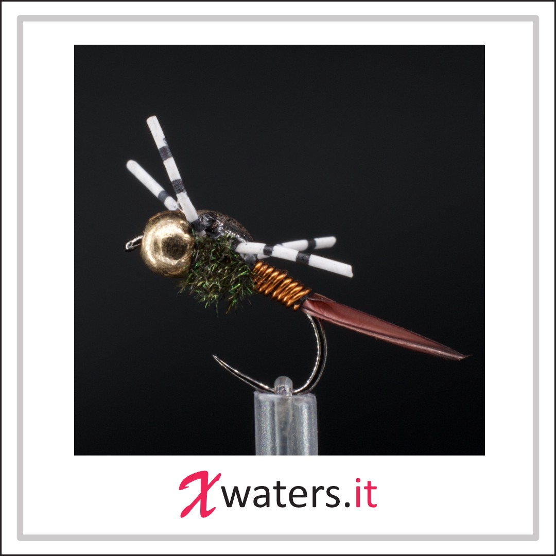 Moscas De Pesca Con Mosca Nymph Flashback Gold Rib 12 Oreja De Liebre Moscas De Pesca Con Mosca Nymph Flashback Gold Rib 12 Oreja De Liebre