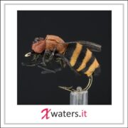 Honey Bee Orange