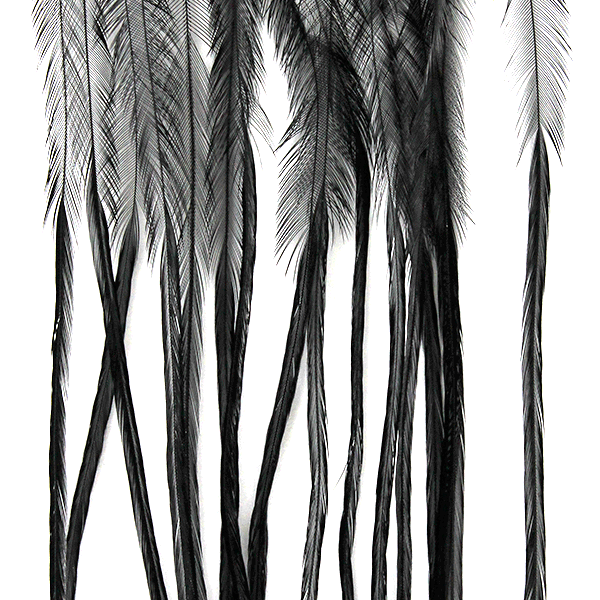 Whiting 100 Pack – Black Size 10
