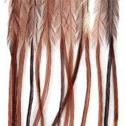 Whiting 100 Pack - Brown Size 18