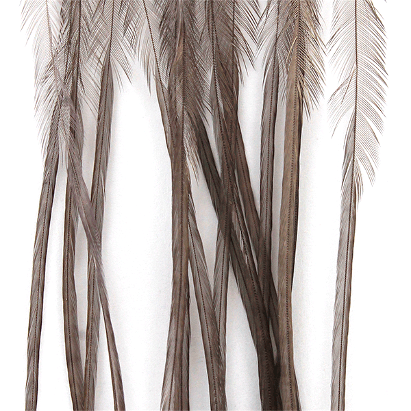 Whiting 100 Pack – Dark Dun Size 10