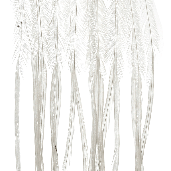 Whiting 100 Pack – White Size 12