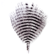 Montana Fly Company – Mini Barred Marabou – White/Barred Black