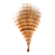 Montana Fly Company – Fine Barred Marabou – Tan/Barred Brown
