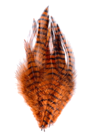 Montana Fly Company – Barred Saddle Hackle – Burnt Orange/Black