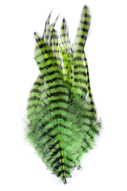 Montana Fly Company – Barred Saddle Hackle – Chartreuse/Black
