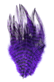 Montana Fly Company – Barred Saddle Hackle – Purple/Black