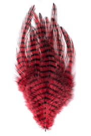 Montana Fly Company – Barred Saddle Hackle – Red/Black