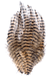 Montana Fly Company – Barred Saddle Hackle – Tan/Black