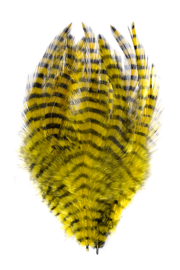 Barred Saddle Hackle - Yellow/Black