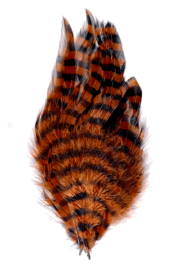 Barred Schlappen - Burnt Orange/Black