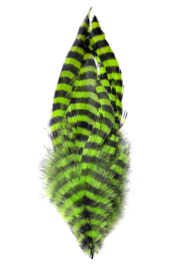 Barred Schlappen - Chartreuse/Black