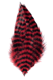 Barred Schlappen - Red/Black