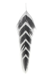Galloup s Fish Feathers - Arrowhead - White/Black